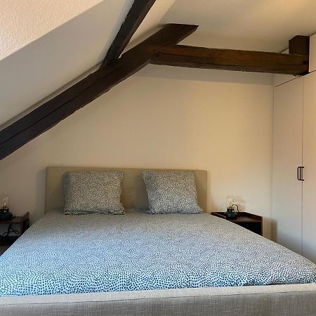 Appartement 4P Hypercentre. Place De Cathedrale Colmar Exterior foto